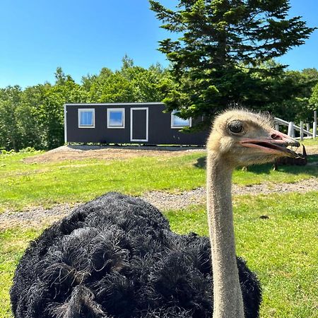 Margo'S Garden Farmstay, Kiroro Акаїґава Екстер'єр фото